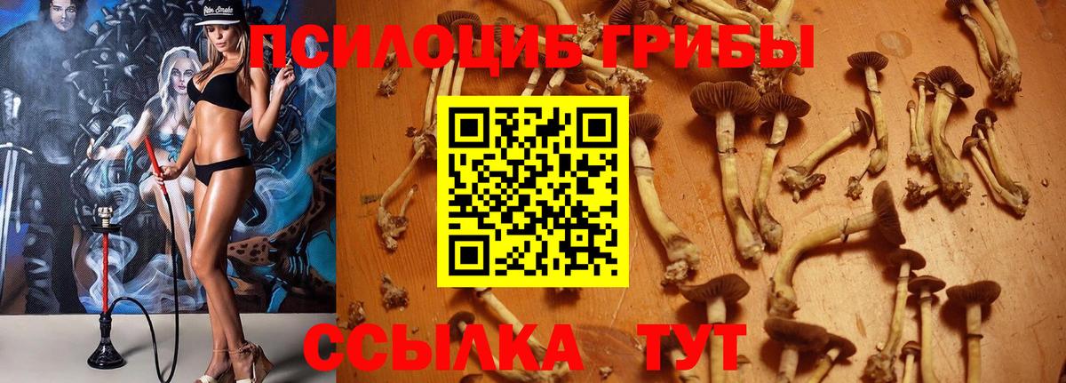 Галлюциногенные грибы ЛСД Сосновый Бор